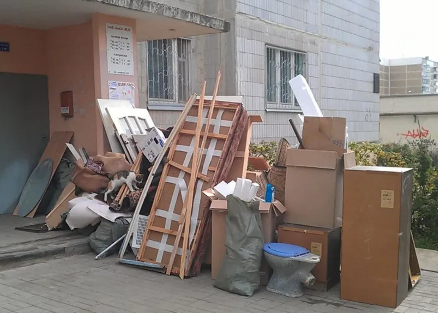Профессиональный вывоз мусора из квартиры в Сланцах в октябре