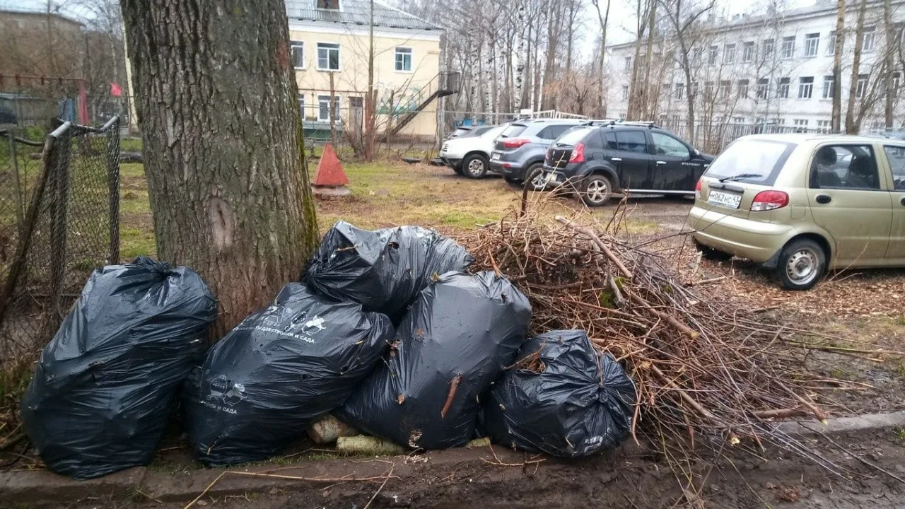 Вывоз мусора после субботника в Сланцах от ПроМусор – уборка и утилизация отходов от 2428 руб
