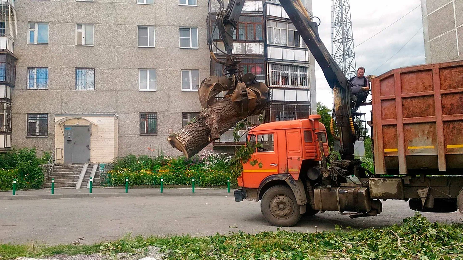 Вывоз спиленных веток и деревьев в Сланцах от ПроМусор: порубочные остатки, утилизация, цена от 2996 руб