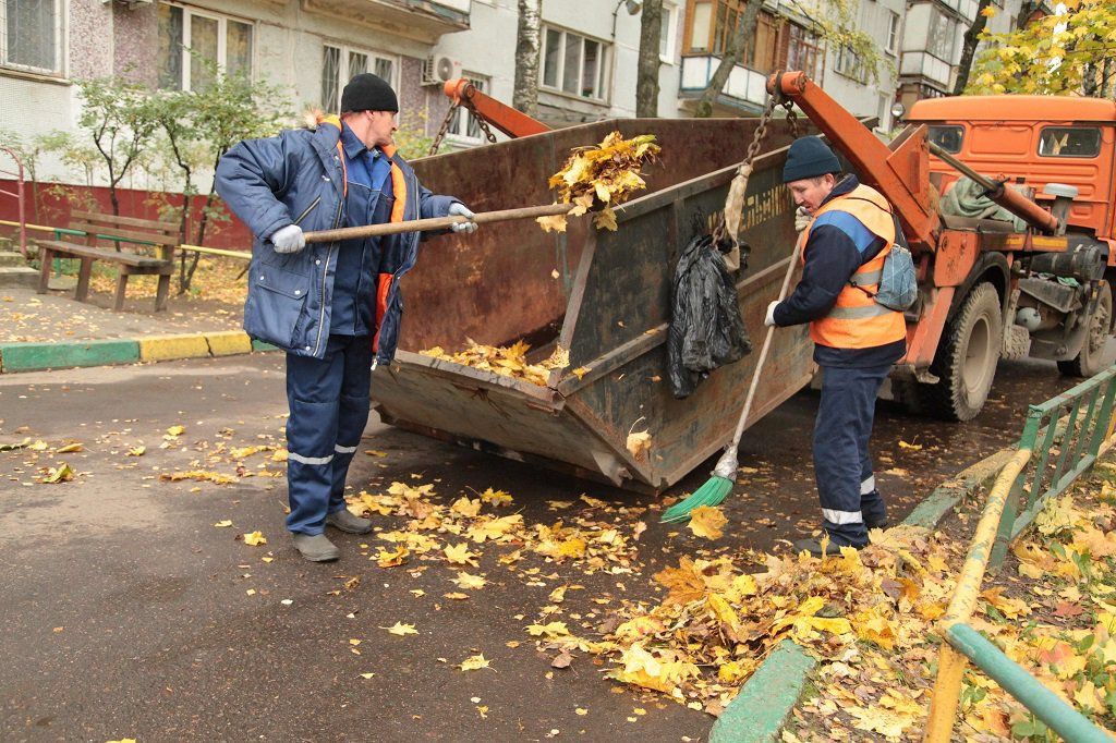 Вывоз опавшей листвы и растительного мусора в Сланцах от ПроМусор – цена от 4649 руб., быстрая уборка и утилизация